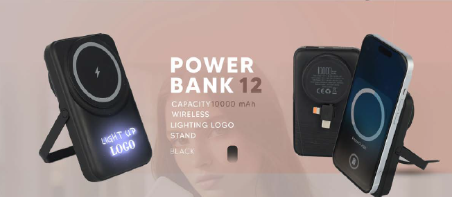 Power Bank 12